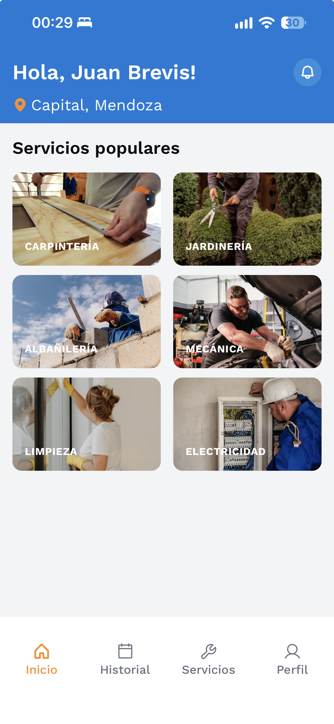 Pantalla de inicio de Brevis en Mendoza, con servicios de carpintería, jardinería, albañilería, mecánica, limpieza y electricidad.